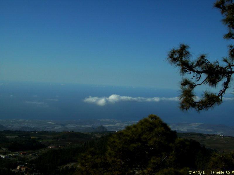 Découverte de Tenerife (6).JPG